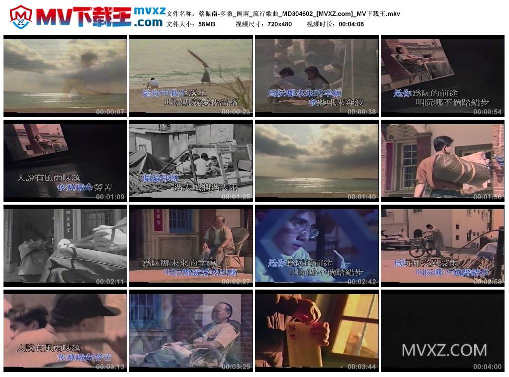 蔡振南-多桑_闽南_流行歌曲_MD304602